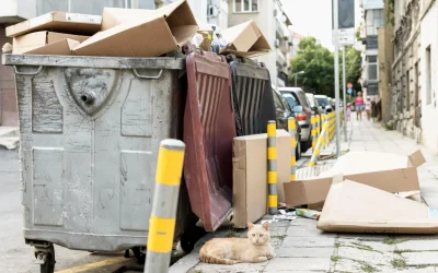 Bin Rental vs Junk Removal: Which is Right for Your Project?
